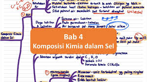 Peperiksaan akhir tahun tingkatan 4 setara daerah johor via. Biologi Spm T4 Bab 4 Komposisi Kimia Dalam Sel Youtube