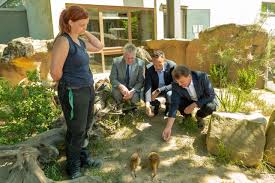 Zoologischer garten karlsruhe | zoos, tiergärten und wildparks in deutschland. Klinikum Karlsruhe Zu Besuch Im Karlsruher Zoo