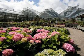 Welcome To Powerscourt Garden Pavilion One Of Ireland S Leading Garden Centres Featuring Plants Seeds Gifts And Garden Pavilion Garden Center Garden Styles