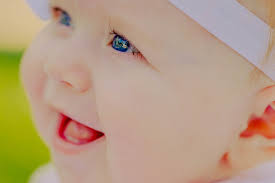 Abby Perkins Photography