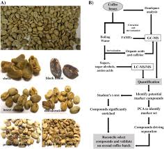 Identification Of Biochemical Features Of Defective Coffea