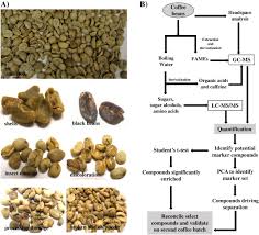 identification of biochemical features of defective coffea