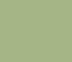 Bathroom Color Light Olive Green Sherwin Williams Paint Colors Green Paint Colors Solid Color Backgrounds