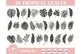 Get it as soon as fri, jul 2. Tropical Leaves Svg Bundle Palm Leaves Svg Jungle Leaves 645832 Illustrations Design Bundles