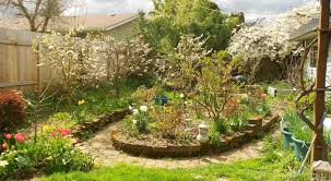 Emerging insect pests in the pacific northwest. Growing Greener In The Pacific Northwest Fruit Trees In Bloom Survival Gardening Low Maintenance Landscaping Front Yard Backyard Flowers
