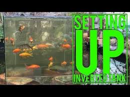 Inverted Fish Tank In Pond Tutorial Cheap Set Up And Very Easy To Do Fish Viewing Tower Youtube Fish Tower Fish Tank Diy Pond