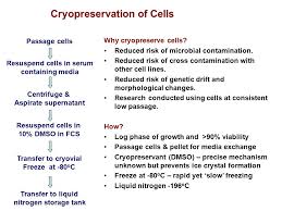 Copyright © 2009 pearson education, inc. Principles Of Cell Culture Ppt Video Online Download