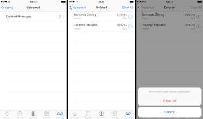 Check spelling or type a new query. How To Permanently Delete Voicemails On Iphone