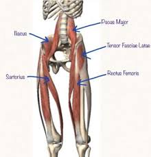 Hip abduction exercises strengthen the muscles that stabilize your femur. Tight Hip Flexors Think Again Mana Performance Therapy Mana Performance Therapy