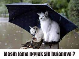  Buat Kamu Yang Sedang Menunggu Hujan Reda Yang Sabar Ya Entah Masih Lama Apa Ngga Hujannya Lucu Meme Meme Lucu