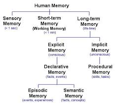 Pin By Friendship Circle On Special Needs Blogs Human Memory Ap Psychology Psychology Notes