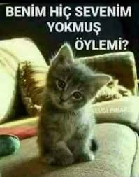 Ismail Adli Kullanicinin Dua Hayvanlari Panosundaki Pin Hayvan Dualar