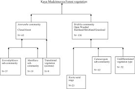 Image result for Synadenium pereskiifolium