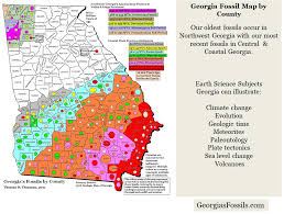 Georgias Fossils Presentation 500 Million Years