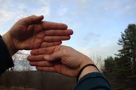 The earth travels around the sun. Tell Time With Your Fingers Archives Mynature Apps