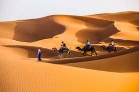 This trip starts around 4 or 5 pm from merzouga village. Overnight Camel Trek Merzouga Morocco Camel Tours Mouhou Tours