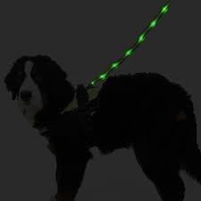 Pin On Dog Apparel And Accessories