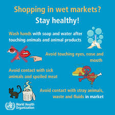 World Health Organization Who On Twitter In 2020 How To Stay Healthy Preventative Health Health