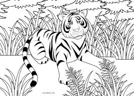 You might also be interested in. Free Printable Tiger Coloring Pages For Kids