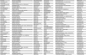 Image result for Pentarrhinum insipidum