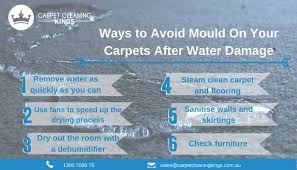 Restoration companies have the right equipment that's needed to dry out your place quickly. Ways To Avoid Mould On Your Carpets After Water Damage