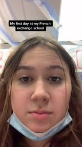 French Google Translate Nicholas Roman