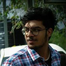 Where to find a male Great Dane in Mossel bay area?