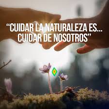 Cuidar De La Naturaleza Es Cuidar De Nosotros Frases Ambientales Frases Ecologicas Frases Naturaleza