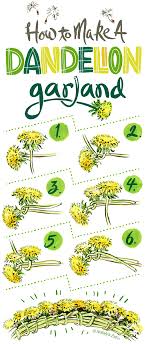 Dog Days Dandelions Oscar Ate My Muffin Dandelion Diy Flowers How To Make