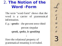 From old french forme (noun), fo(u)rmer (verb, from latin formare 'to form'), both based on latin forma 'a mold or form'. Grammatical Meaning Of The Word 1