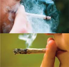 Seeing Through The Smoke Correlation Of Tobacco Marijuana And Drugs Of Abuse Check out this fantastic collection of smoking weed wallpapers, with 36 smoking weed background images for your desktop, phone or tablet. correlation of tobacco marijuana
