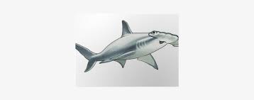 Hammerhead Shark Cartoon Png Image Transparent Png Free Download On Seekpng Learn how to draw a cartoon hammerhead shark! seekpng