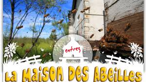 Check spelling or type a new query. La Maison Des Abeilles 2021 Horaires Tarifs Animaux A Voir Animations