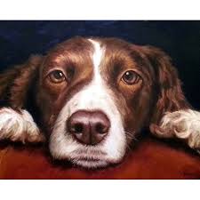 Black And White Springer Spaniel Clipart English Springer Spaniel Art Print Of Original Acrylic Painting Liver White On Dark Blue With Images Spaniel Art Spaniel Art Print English Springer Spaniel