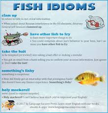 Improve Your English With These Fish Idioms Www Languagesucccesspress Com Learn English English Idioms Idioms