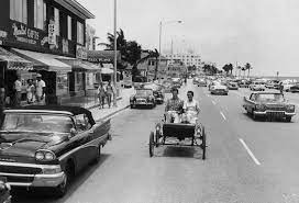 Pin On South Florida Images