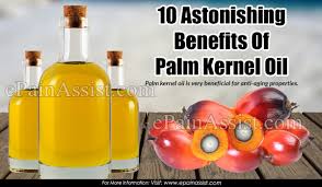 While both originate from the same plant, palm kernel oil is extracted from the seed of the fruit. 10 Astonishing Benefits Of Palm Kernel Oil
