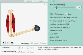 Find an engaging resource for your classroom calorimetry gizmo answer key follow instructions on course website to access gizmo at home or in the library. Muscles And Bones Gizmo Lesson Info Explorelearning