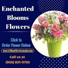We offer many different types and varieties of flowers. Enchanted Blooms Flowers By Best Florist In Toronto Pichost Espanol
