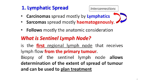 However, not all obstructing tumors are malignant and the differentiation between a benign and a malignant tumor can be difficult. Methods Of Spread Of Malignant Tumours Professor Of Pathology Ppt Download