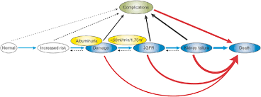 Chronic kidney disease, also called chronic kidney failure, describes the gradual loss of kidney function. Conceptual Model Of The Course And Outcomes Of Chronic Kidney Disease Download Scientific Diagram