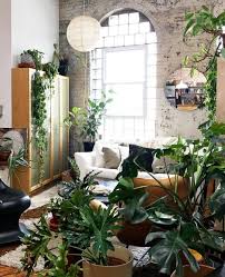 Green Living Room Inspo Interior Design Plants House Plants Decor Interior Design Tips