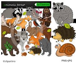 There are 20 different forest animal flashcards to choose from. Woodland Forest Animal Clip Art Teaching Resources