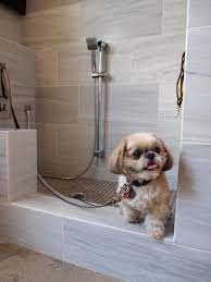 Pets Amenities Rising Trend For Homebuilders Dog Shower Dog Washing Station Pet Washing Station