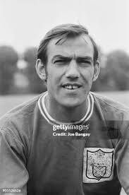 77 Tony Macedo Stock Photos, High-Res Pictures, and Images