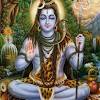Https Encrypted Tbn0 Gstatic Com Images Q Tbn And9gcrsrhjaiojecge7qlvoih0pf8 A85zwflb0skgjjclzuwg Jrsp Usqp Cau
