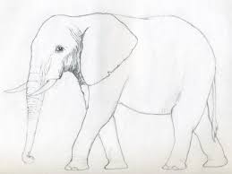 Start with a large horizontal and draw in a smaller vertical oval near the left side for the head and face. Elephant How To Draw Easy Animals Novocom Top
