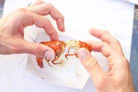 How To Eat Boiled Crawfish « Food Hacks :: Wonderhowto