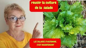 COMMENT RÉUSSIR LE SEMI DE SALADE. TUTO JUSQU'À LA PLANTATION