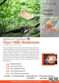 Gives top priority to professionalism, quality and expeditious execution in its approach and discharge of the duties to ensure client satisfaction. Malaysia S National Treasure Along With Nexus Wise S Technology Tigerpro Tiger Milk Mushroom Nexus Wise Malaysia